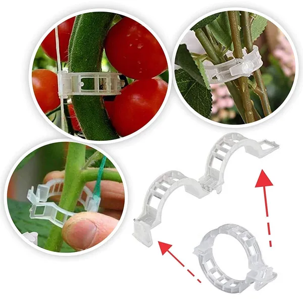 VIDA_DE_JARDIN_Plant_Support_Garden_Clips_|_Trellis_Clips_for_Tomato_Vine_Vegetables_Beans_Fruits_and_Flowers_|_Durable_Garden_Accessories_to_Help_Plants_Grow_Upright_(Pack_of_100)