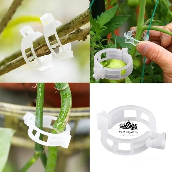VIDA_DE_JARDIN_Plant_Support_Garden_Clips_|_Trellis_Clips_for_Tomato_Vine_Vegetables_Beans_Fruits_and_Flowers_|_Durable_Garden_Accessories_to_Help_Plants_Grow_Upright_(Pack_of_100)