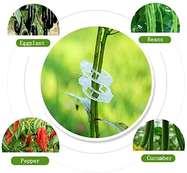 VIDA_DE_JARDIN_Plant_Support_Garden_Clips_|_Trellis_Clips_for_Tomato_Vine_Vegetables_Beans_Fruits_and_Flowers_|_Durable_Garden_Accessories_to_Help_Plants_Grow_Upright_(Pack_of_100)