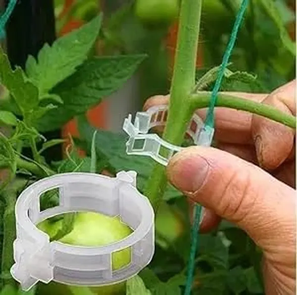 VIDA_DE_JARDIN_Plant_Support_Garden_Clips_|_Trellis_Clips_for_Tomato_Vine_Vegetables_Beans_Fruits_and_Flowers_|_Durable_Garden_Accessories_to_Help_Plants_Grow_Upright_(Pack_of_100)