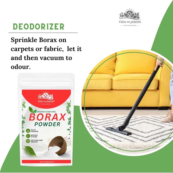 Vida_de_Jardin_Organic_and_Natural_Borax_Powder_|_Multi-Purpose_Cleaner_|_Removes_Stains,_Neutralises_Odours_|_Safe_for_Home,_Kitchen,_Laundry_and_Bathroom_(Pack_of_900_Gm)