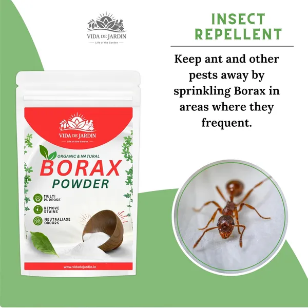 Vida_de_Jardin_Organic_and_Natural_Borax_Powder_|_Multi-Purpose_Cleaner_|_Removes_Stains,_Neutralises_Odours_|_Safe_for_Home,_Kitchen,_Laundry_and_Bathroom_(Pack_of_900_Gm)