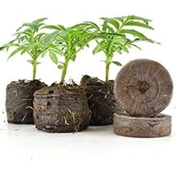 VIDA_DE_JARDIN_Coir_Seed_Germination_Kit_45MM_|_Coco_Peat_Pellets_for_Seedling_Trays_|_Organic_Seed_Starter_Plugs_|_Fast_Germination_&_Healthy_Root_Development_(100_pcs)