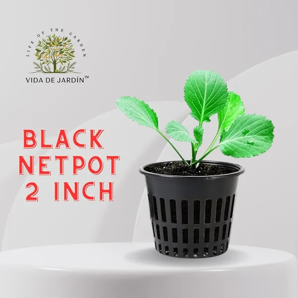 VIDA_DE_JARDIN_Black_Hydroponic_Net_Pots_|_Heavy_Duty_Slotted_Mesh_Net_Cups_with_Wide_Lip_|_Durable_Reusable_Plastic_Plant_Basket_for_DWC_Systems,_Aquaponics_|_2_Inch_(100)