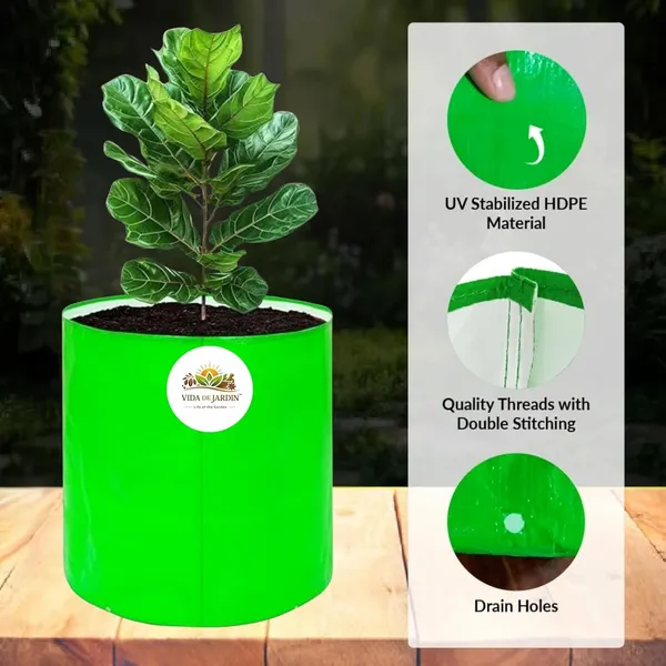 VIDA_DE_JARDIN_HDPE_Round_Plant_Grow_Bags_|_260_GSM_UV_Protected_Grow_Bag_for_Terrace_Gardening,_Vegetable_Plants,_Home_Garden,_Balcony,_Nursery,_Kitchen_Garden_|_(Pack_of_10,_12X12_Inches)