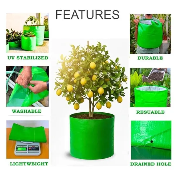 VIDA_DE_JARDIN_HDPE_Round_Plant_Grow_Bags_|_260_GSM_UV_Protected_Grow_Bag_for_Terrace_Gardening,_Vegetable_Plants,_Home_Garden,_Balcony,_Nursery,_Kitchen_Garden_|_(Pack_of_10,_12X12_Inches)