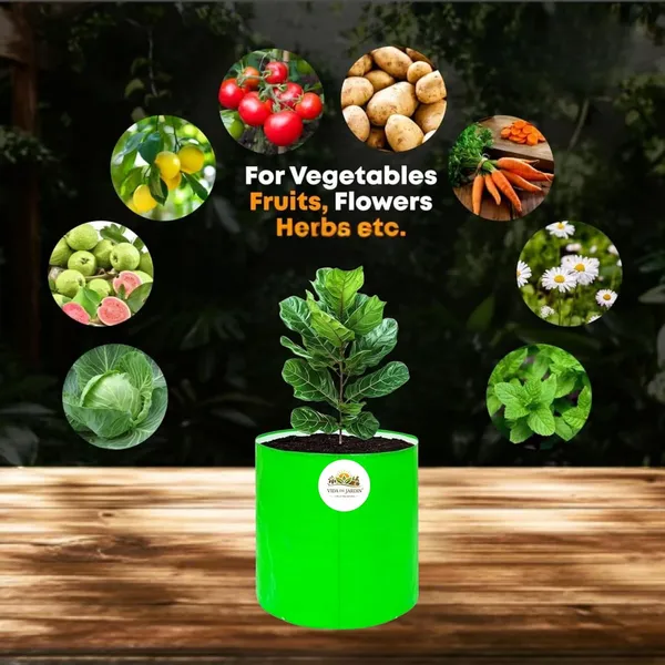 VIDA_DE_JARDIN_HDPE_Round_Plant_Grow_Bags_|_260_GSM_UV_Protected_Grow_Bag_for_Terrace_Gardening,_Vegetable_Plants,_Home_Garden,_Balcony,_Nursery,_Kitchen_Garden_|_(5,_9X9_Inches)