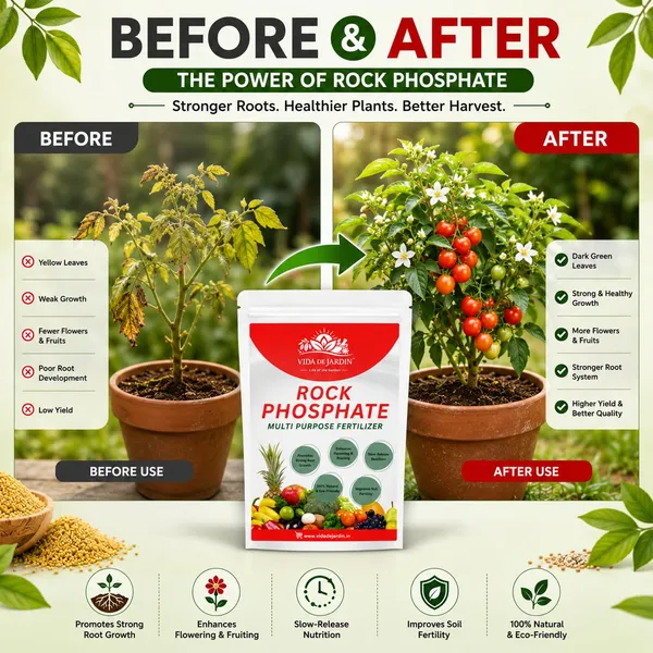 Vida_De_Jardin_Organic_Rock_Phosphate_Essential_Fertilizer_All_Purpose_Crushed_Powder_for_Fruiting_and_Flowering_Plants_|_900_Grams