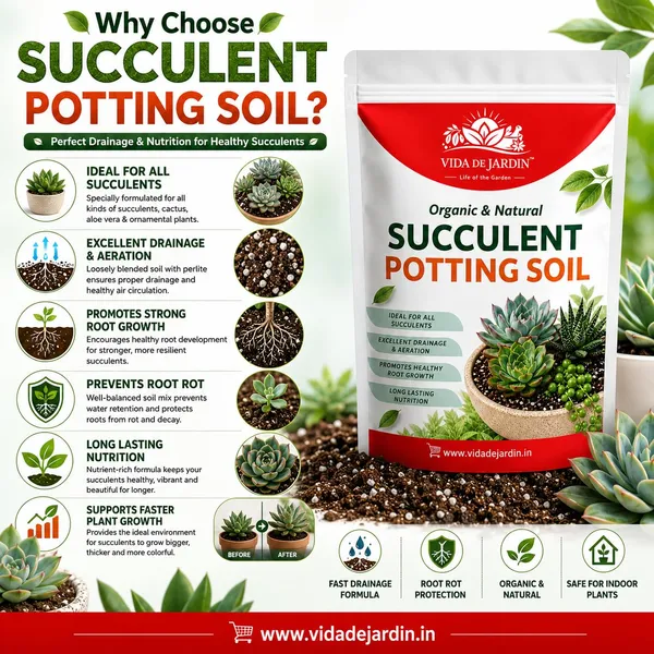 Vida_De_Jardin_Cactus_&_Succulents_Soil_Mix_|_Well-Draining,_Aerated_Cactus_Soil_Mix_for_Strong_Root_Growth_(900)