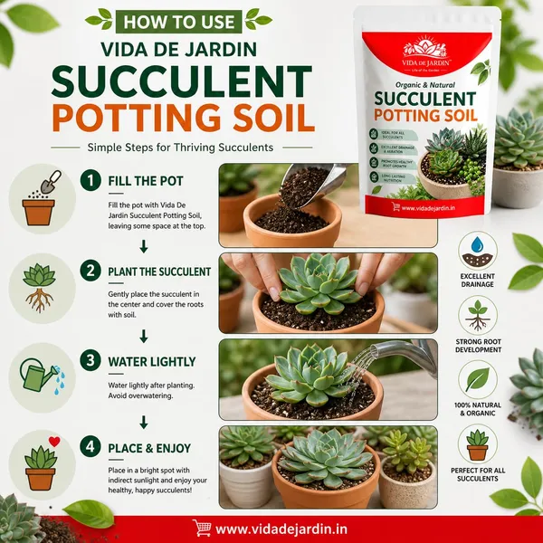 Vida_De_Jardin_Cactus_&_Succulents_Soil_Mix_|_Well-Draining,_Aerated_Cactus_Soil_Mix_for_Strong_Root_Growth_(900)