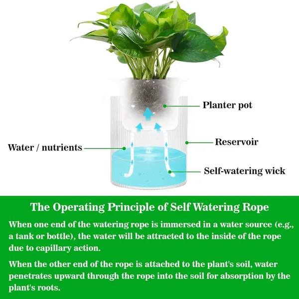 VIDA_DE_JARDIN_Plant_Wick_Cord_|_DIY_Self_Watering_System_for_Indoor_Plants_&_Balcony_Garden_|_Reusable_Watering_Rope_(Pack_of_8)