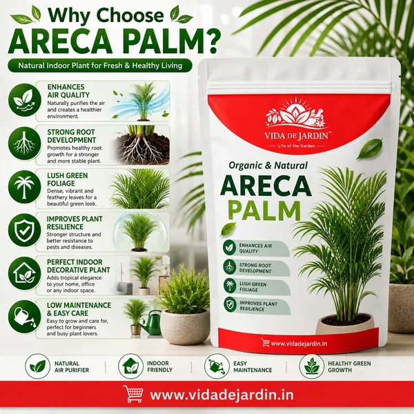 Vida_De_Jardin_Organic_&_Natural_Areca_Palm_Plant_Food,_Enhances_Air_Quality,_Strong_Root_Development,_Lush_Green_Foliage_(900_G)