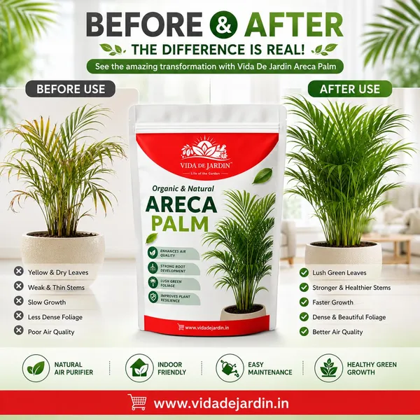 Vida_De_Jardin_Organic_&_Natural_Areca_Palm_Plant_Food,_Enhances_Air_Quality,_Strong_Root_Development,_Lush_Green_Foliage_(900_G)