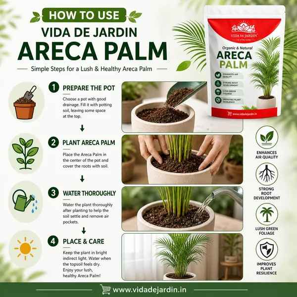 Vida_De_Jardin_Organic_&_Natural_Areca_Palm_Plant_Food,_Enhances_Air_Quality,_Strong_Root_Development,_Lush_Green_Foliage_(900_G)