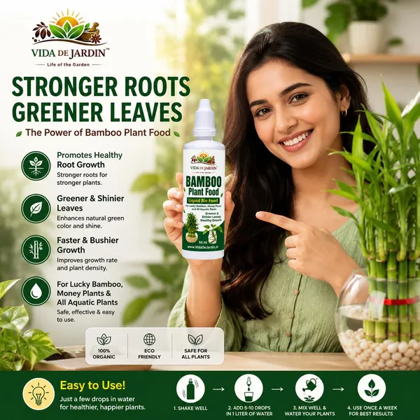 Vida_De_Jardin_Bamboo_Plant_Food_Liquid_Bio_Food,_for_Lucky_Bamboo,_Money_Plants_and_Aquatic_Plants,_50_ml_(Pack_of_3)