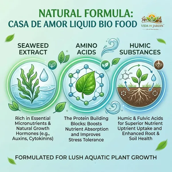 Vida_De_Jardin_Bamboo_Plant_Food_Liquid_Bio_Food,_for_Lucky_Bamboo,_Money_Plants_and_Aquatic_Plants,_50_ml_(Pack_of_3)