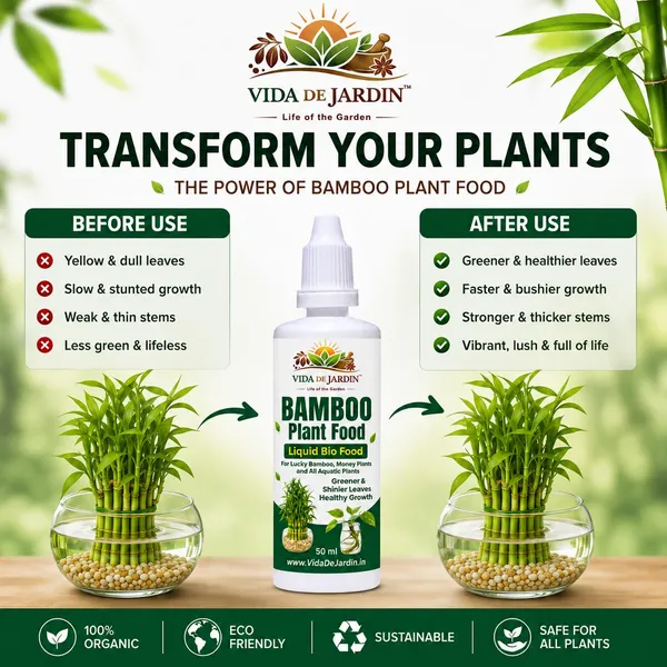 Vida_De_Jardin_Bamboo_Plant_Food_Liquid_Bio_Food,_for_Lucky_Bamboo,_Money_Plants_and_Aquatic_Plants,_50_ml_(Pack_of_3)