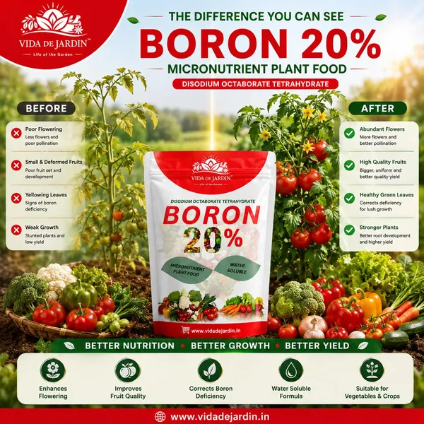 Vida_De_Jardin_Boron_20%_Micronutrient_Plant_Food_Water_Soluble_Boron_Powder_for_Flowering,_Fruit_Setting_&_Crop_Yield_Booster_(400_Grams)