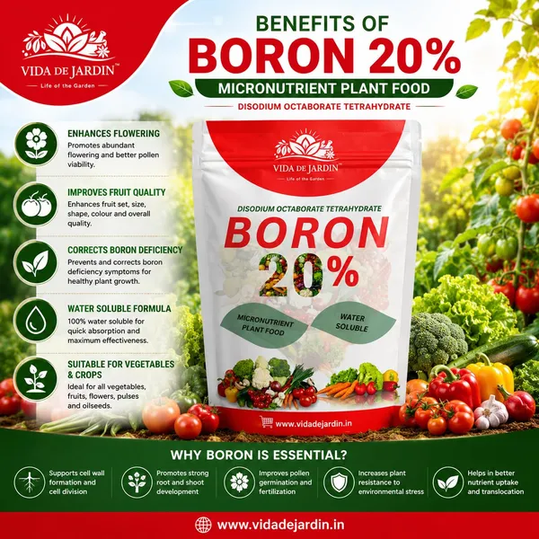 Vida_De_Jardin_Boron_20%_Micronutrient_Plant_Food_Water_Soluble_Boron_Powder_for_Flowering,_Fruit_Setting_&_Crop_Yield_Booster_(400_Grams)