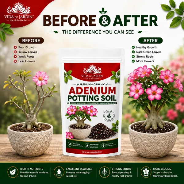 VIDA_DE_JARDIN_Adenium_Potting_Soil_Mix_|_Premium_Ready-to-Use_Fast_Draining_Potting_Soil_for_Desert_Rose_|_Organic_Soil_Blend_with_Cocopeat,_Perlite_&_Natural_Nutrients_(5_KG)