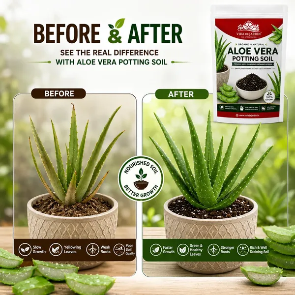 VIDA_DE_JARDIN_Aloe_Vera_Potting_Soil_Mix_|_Premium_Ready-to-Use_Fast_Draining_Potting_Soil_for_Aloe_Vera_Plants_|_Organic_Soil_Blend_with_Natural_Nutrients_(5_KG)