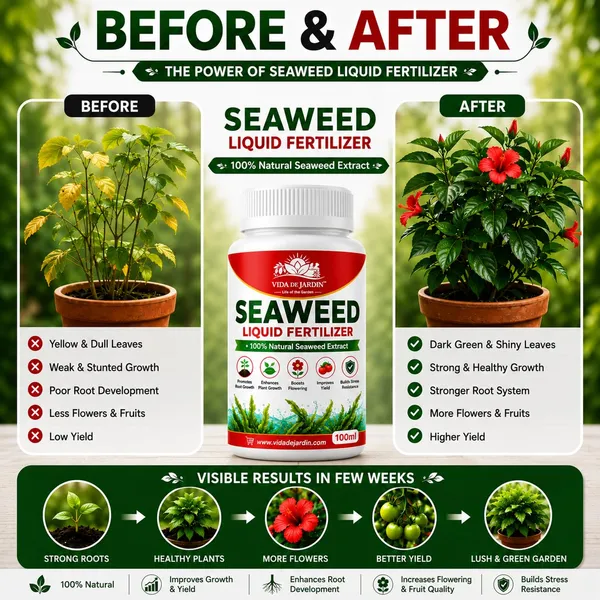 Vida_de_Jardin™_Seaweed_Liquid_Plant_Food_|_Organic_Fertilizer_&_Growth_Enhancer_|_Supports_Healthy_Roots,_Leaves,_Flowers_&_Fruits_(500_ML)