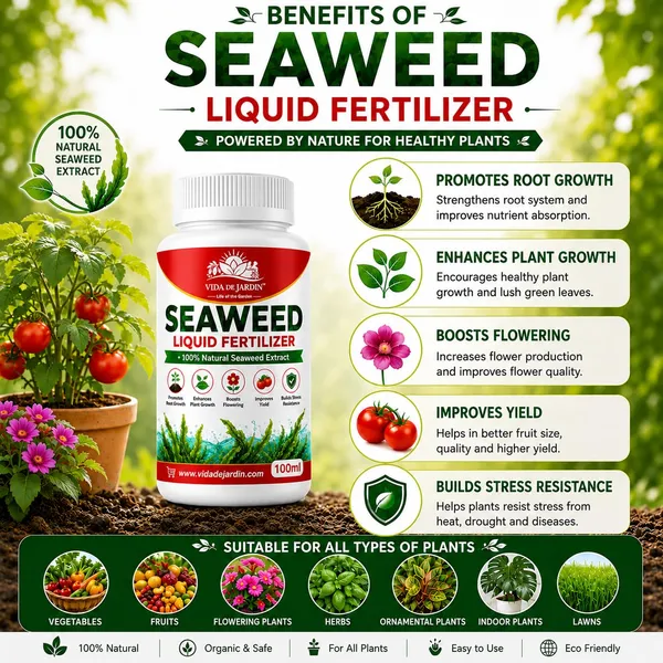 Vida_de_Jardin™_Seaweed_Liquid_Plant_Food_|_Organic_Fertilizer_&_Growth_Enhancer_|_Supports_Healthy_Roots,_Leaves,_Flowers_&_Fruits_(500_ML)