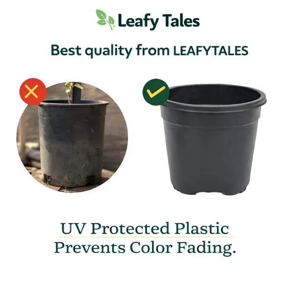 VIDA_DE_JARDIN_Black_Plastic_Plant_Pots_for_Indoor_&_Outdoor_Gardening_|_Durable_Nursery_Pots_for_Plants,_Flowers_&_Seedlings_|_Lightweight_Garden_Pots
