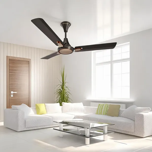 Goldmedal_Senora_1200Mm_Bee_Certified_Star_Rated_Decorative_Ceiling_Fan_Anti_Dust_High_Air_Delivery_High_Rpm_2_Years_Warranty_Chocolate_Gold