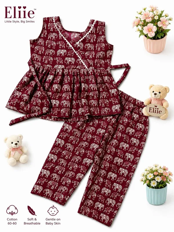 Eliie_Girls_Casual_Top_Pant_(Maroon,_Pack_Of_2)