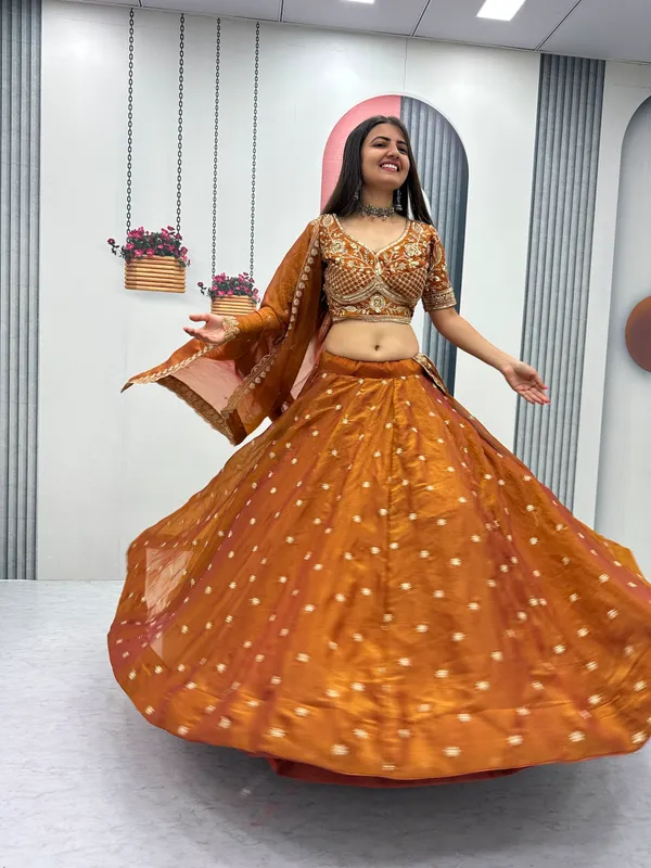 Rust_Mosh_Embroidery_Sequence_Lehenga_Choli
