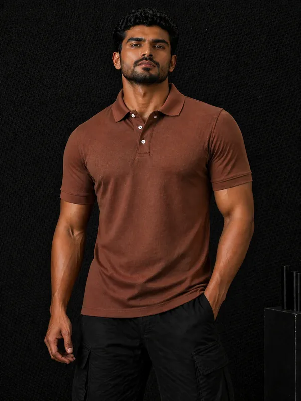 Brown_Casual_Polo_T_Shirt_for_Men