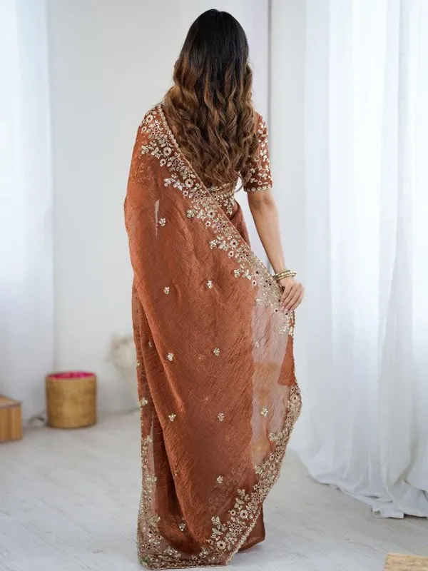 Sequined_Chiffon_Saree_For_Special_Occasions_-_Timeless_Elegance