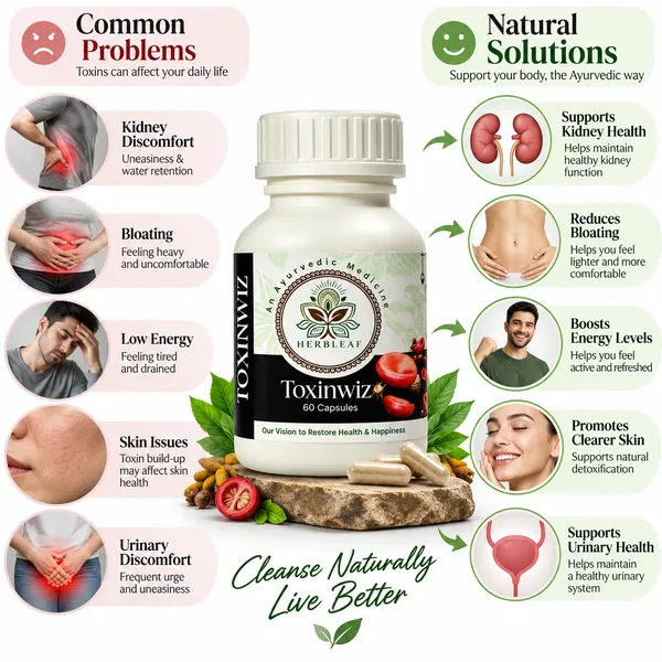 Herbal_Leaf_Toxinwiz_Herbal_Capsules_60_Count
