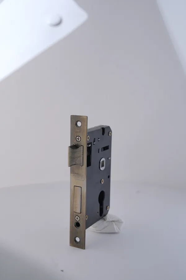 Black_And_Gold_Iron_Modern_Mortise_Door_Lock_Body_With_Strike_Plate