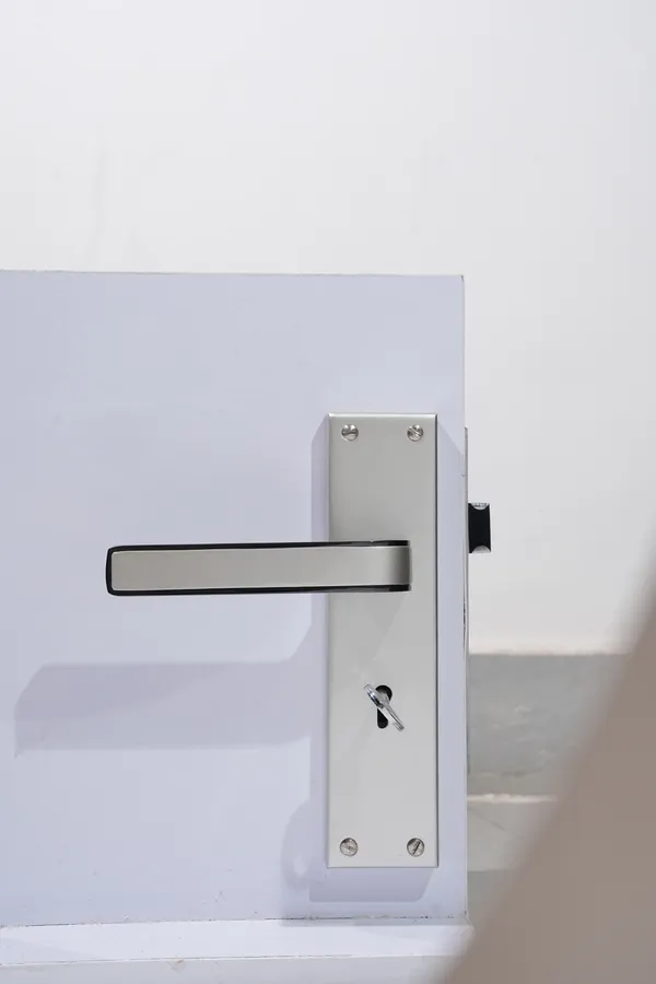 Silver_And_Black_White_Metal_Modern_Lever_Door_Lock_Set