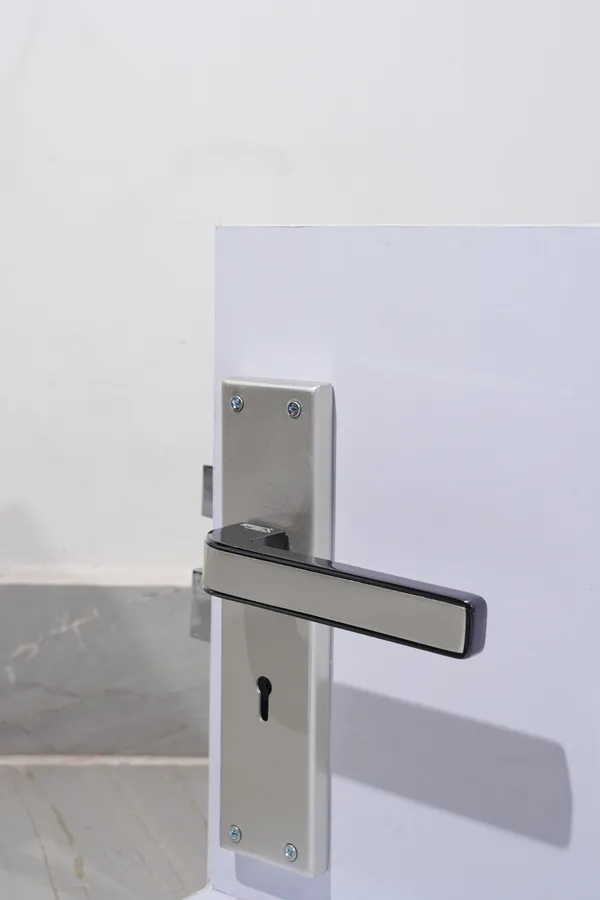 Silver_And_Black_White_Metal_Modern_Lever_Door_Lock_Set