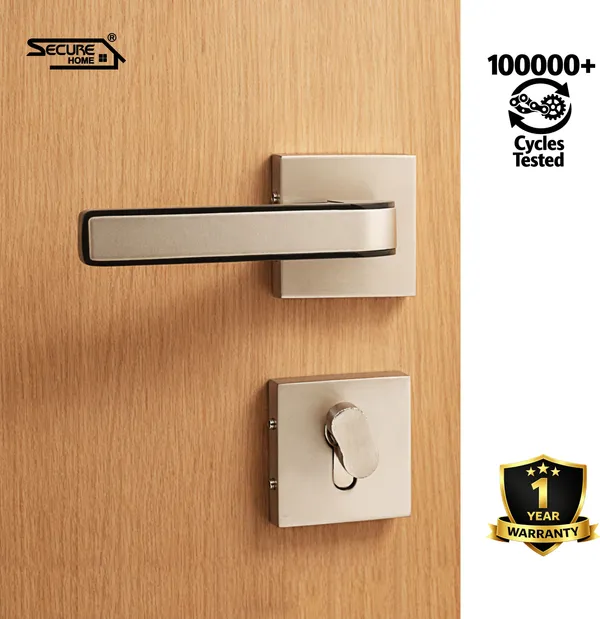 Steel_And_Silver_White_Metal_Modern_Dual-Tone_Satin_Rose_Mortise_Door_Lever