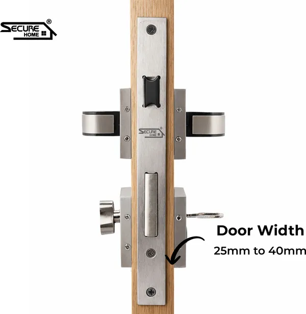 Steel_And_Silver_White_Metal_Modern_Dual-Tone_Satin_Rose_Mortise_Door_Lever