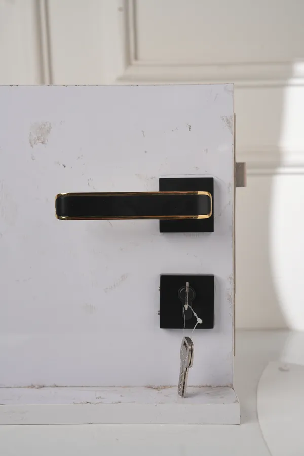 Black_And_Gold_White_Metal_Modern_Rose_Lever_Mortise_Door_Lock_Set