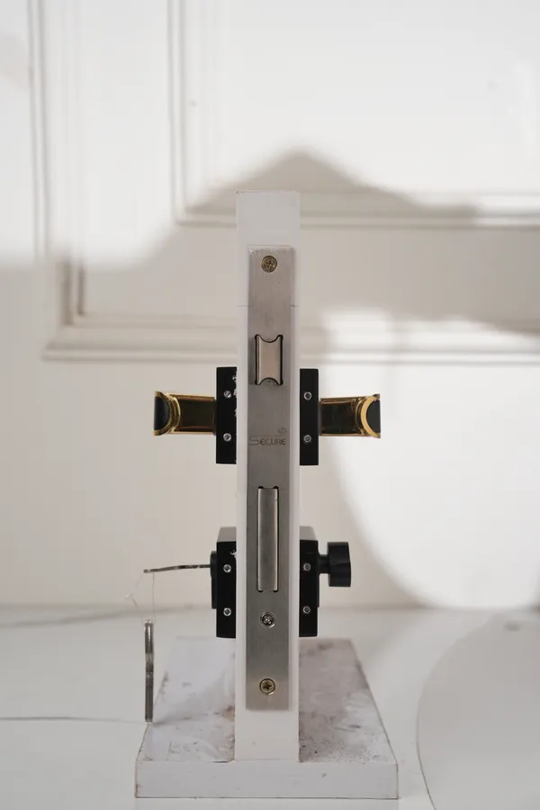 Black_And_Gold_White_Metal_Modern_Rose_Lever_Mortise_Door_Lock_Set