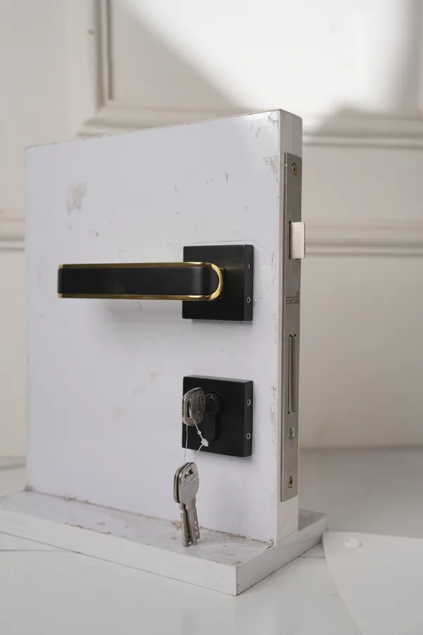 Black_And_Gold_White_Metal_Modern_Rose_Lever_Mortise_Door_Lock_Set