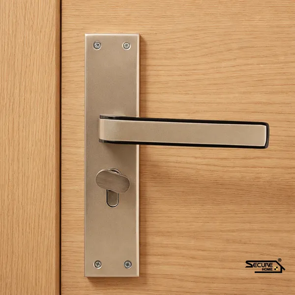 Silver_And_Black_White_Metal_Modern_Lever_Door_Lock_Set