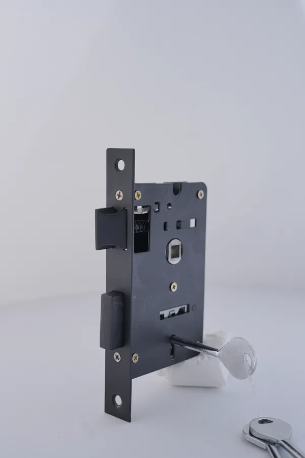 Black_White_Metal_Modern_Mortise_Door_Lock_Set_With_Keys