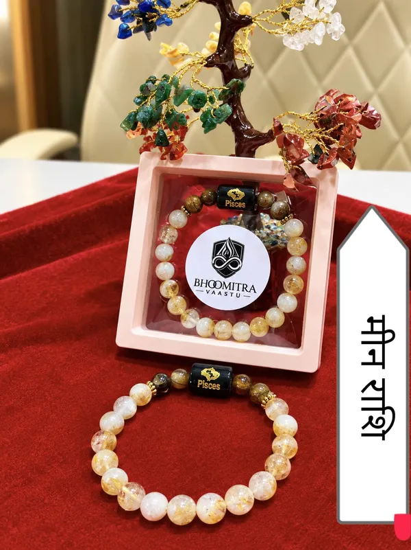 Multicolor_Gemstone_Pisces_Zodiac_Bracelet_For_Women