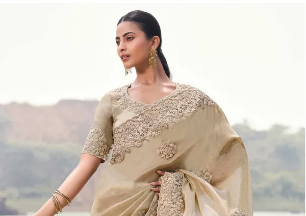 Beige_Function_Wear_Designer_Saree_Default_Title