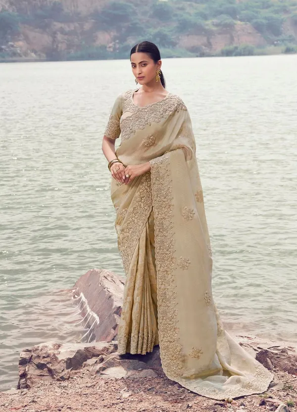 Beige_Function_Wear_Designer_Saree_Default_Title
