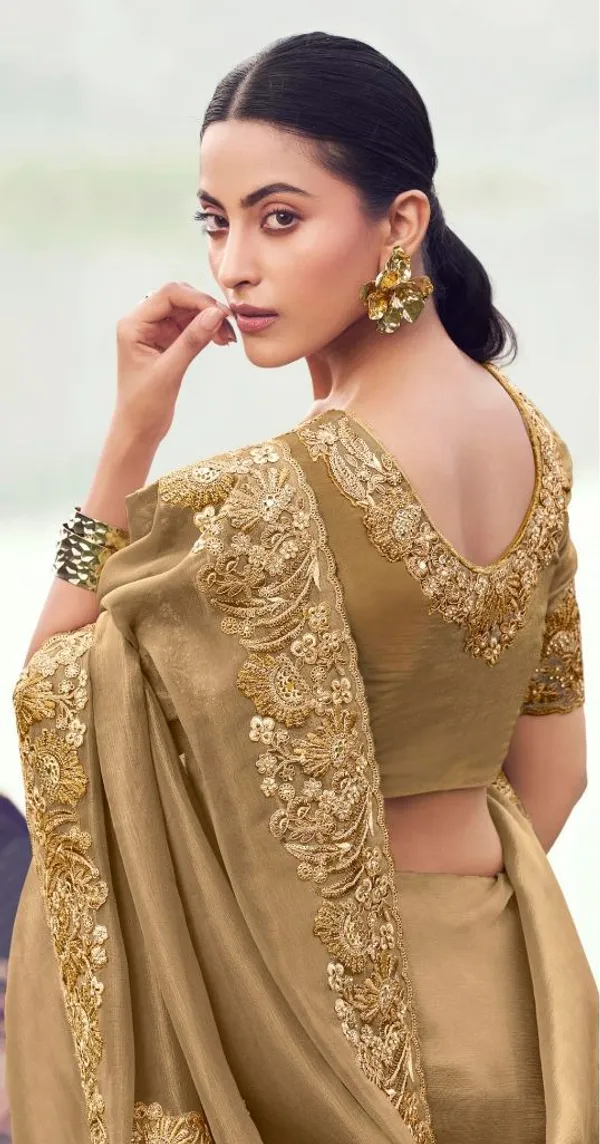 Chiku_Function_Wear_Designer_Banarasi_Silk_Saree_Default_Title