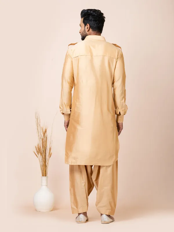 Chiku_Color_Festive_Wear_Pathani_Kurta_Set
