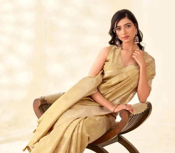 Cream_Classic_Party_Wear_Designer_Tissue_Linen_Saree_Default_Title